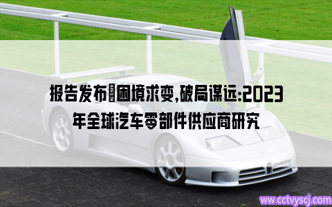 报告发布｜困境求变，破局谋远：2023年全球汽车零部件供应商研究