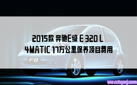2015款 奔驰E级 E 320 L 4MATIC 17万公里保养项目费用