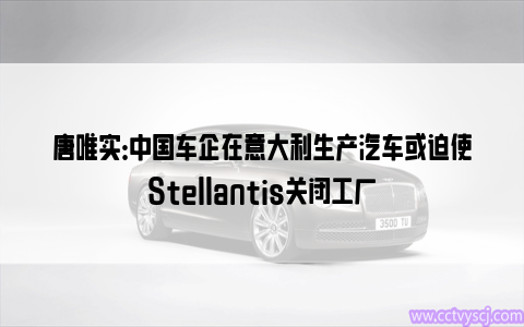 唐唯实：中国车企在意大利生产汽车或迫使Stellantis关闭工厂